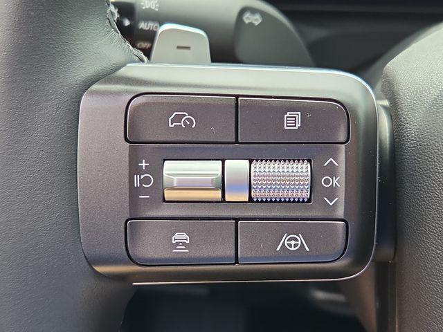 2026 Hyundai Palisade Calligraphy - Photo 12