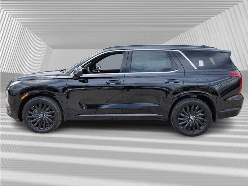 2025 Hyundai Palisade Calligraphy photo 2