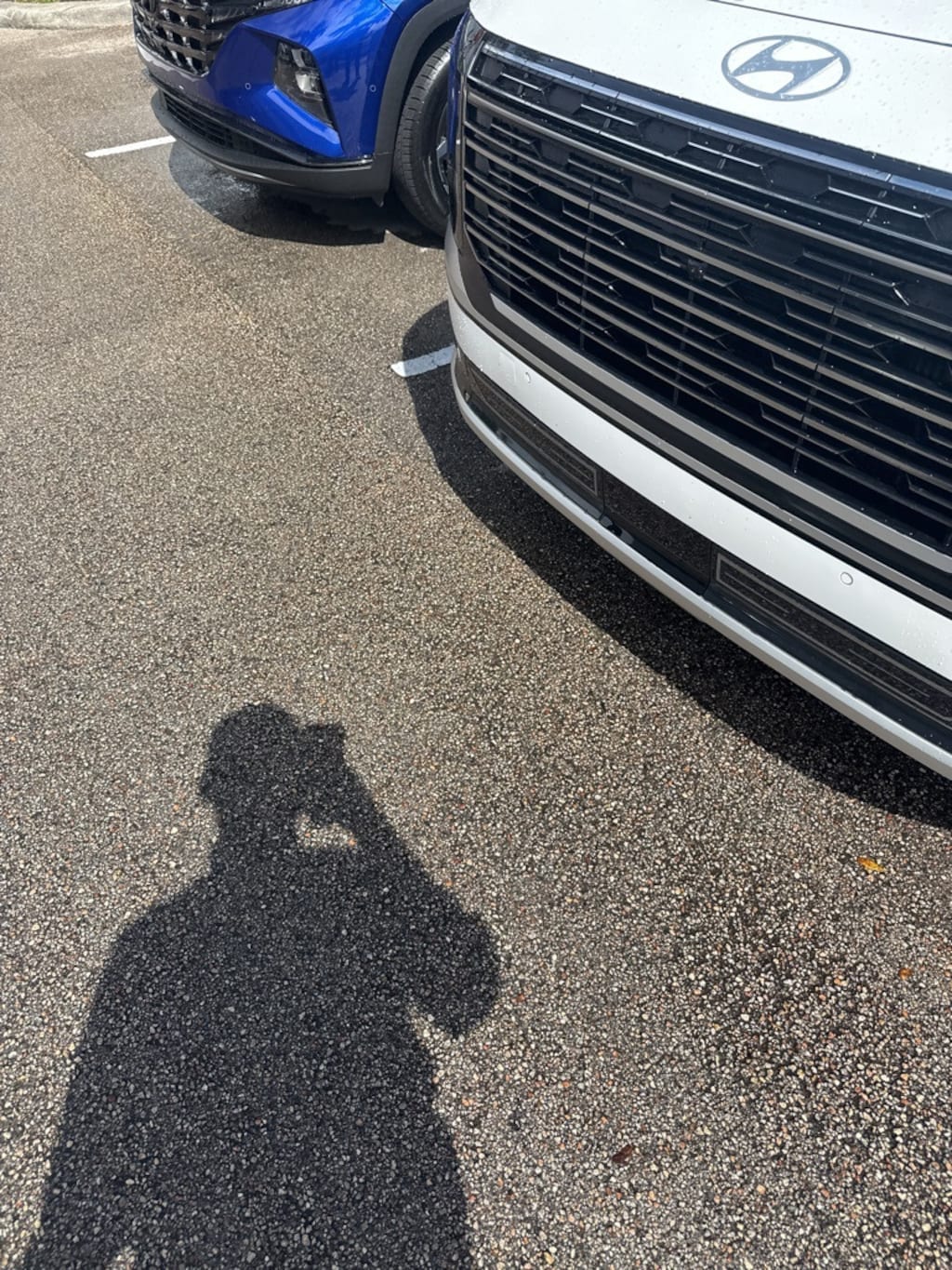 Used 2026 Hyundai Palisade Calligraphy SUV