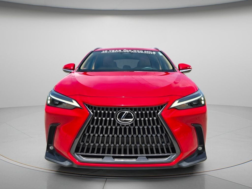 2023 Lexus NX 350 - Photo 9