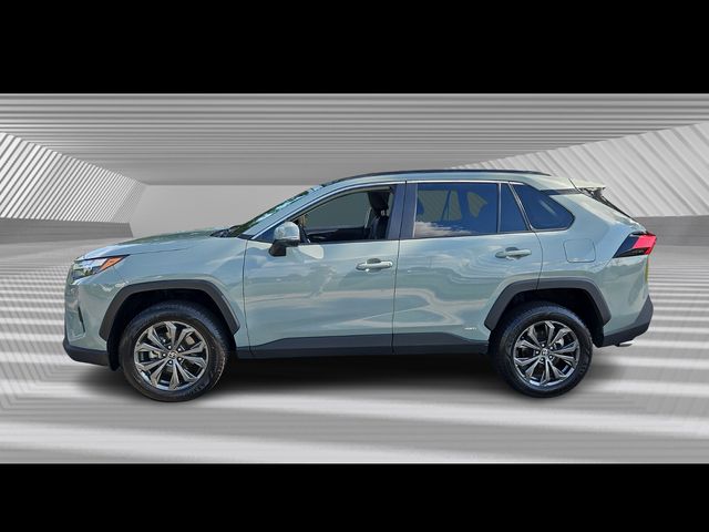 2022 Toyota RAV4 Hybrid XLE Premium photo 2