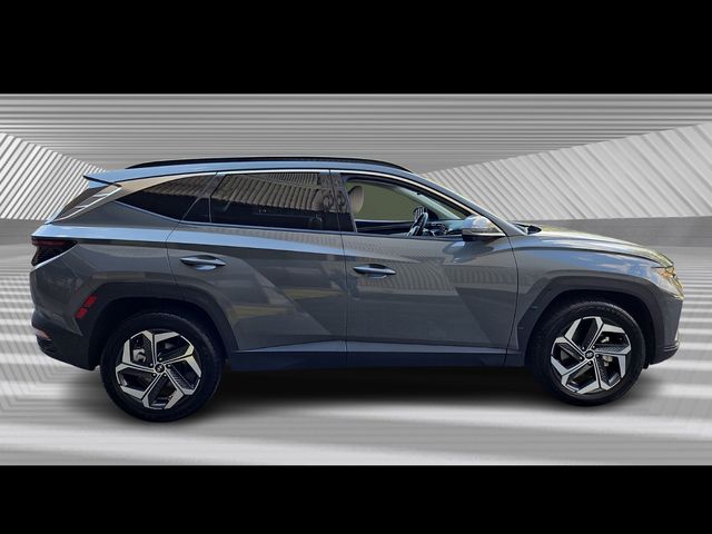 2024 Hyundai Tucson Limited photo 3