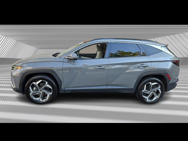 2024 Hyundai Tucson Limited photo 2