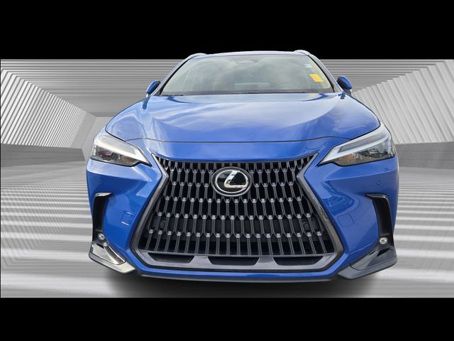 2023 Lexus NX 250 Premium photo 2