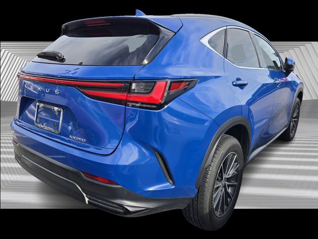 2023 Lexus NX 250 Premium photo 4