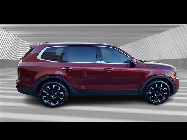 2024 Kia Telluride SX photo 2