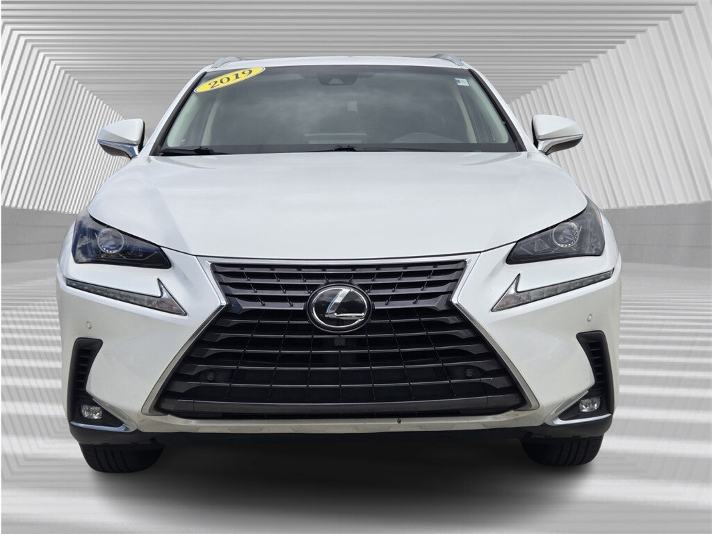 2019 Lexus NX 300 Luxury photo 4
