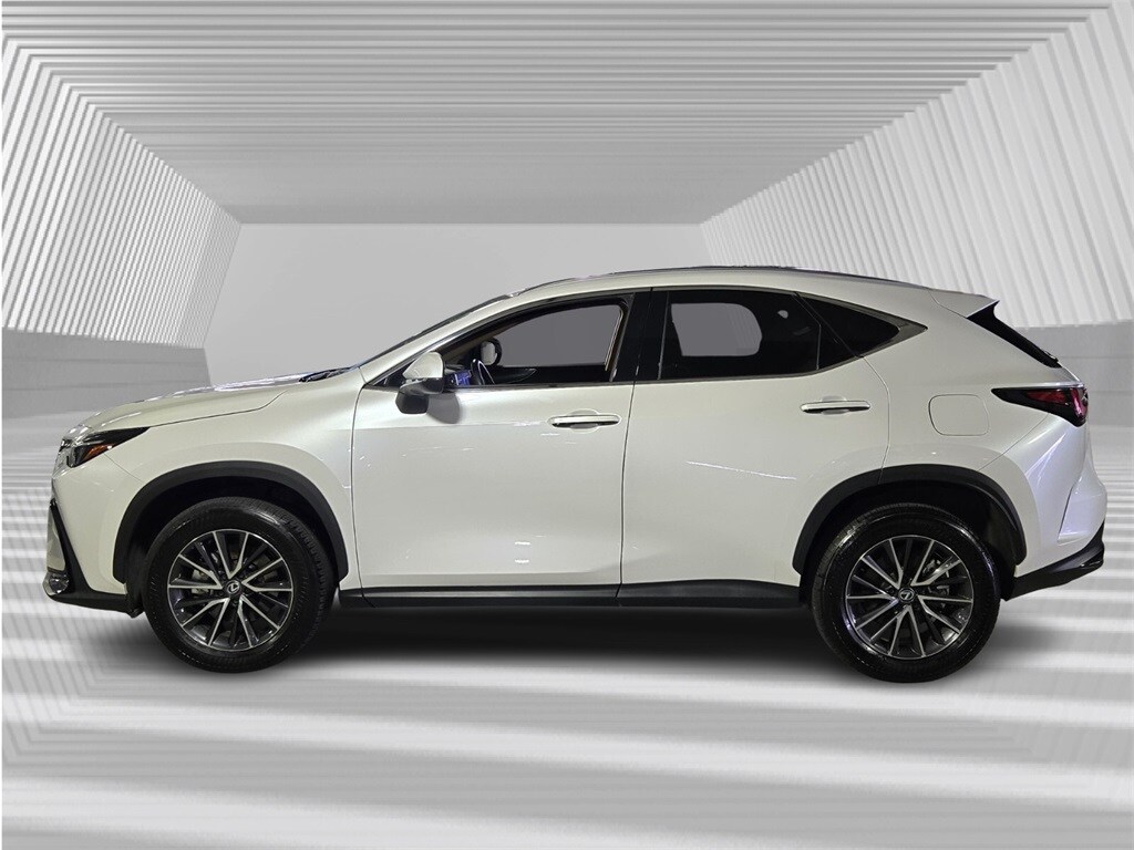 2024 Lexus NX 250 photo 2