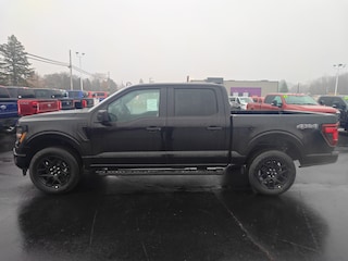 2025 Ford F-150 STX TRUCK