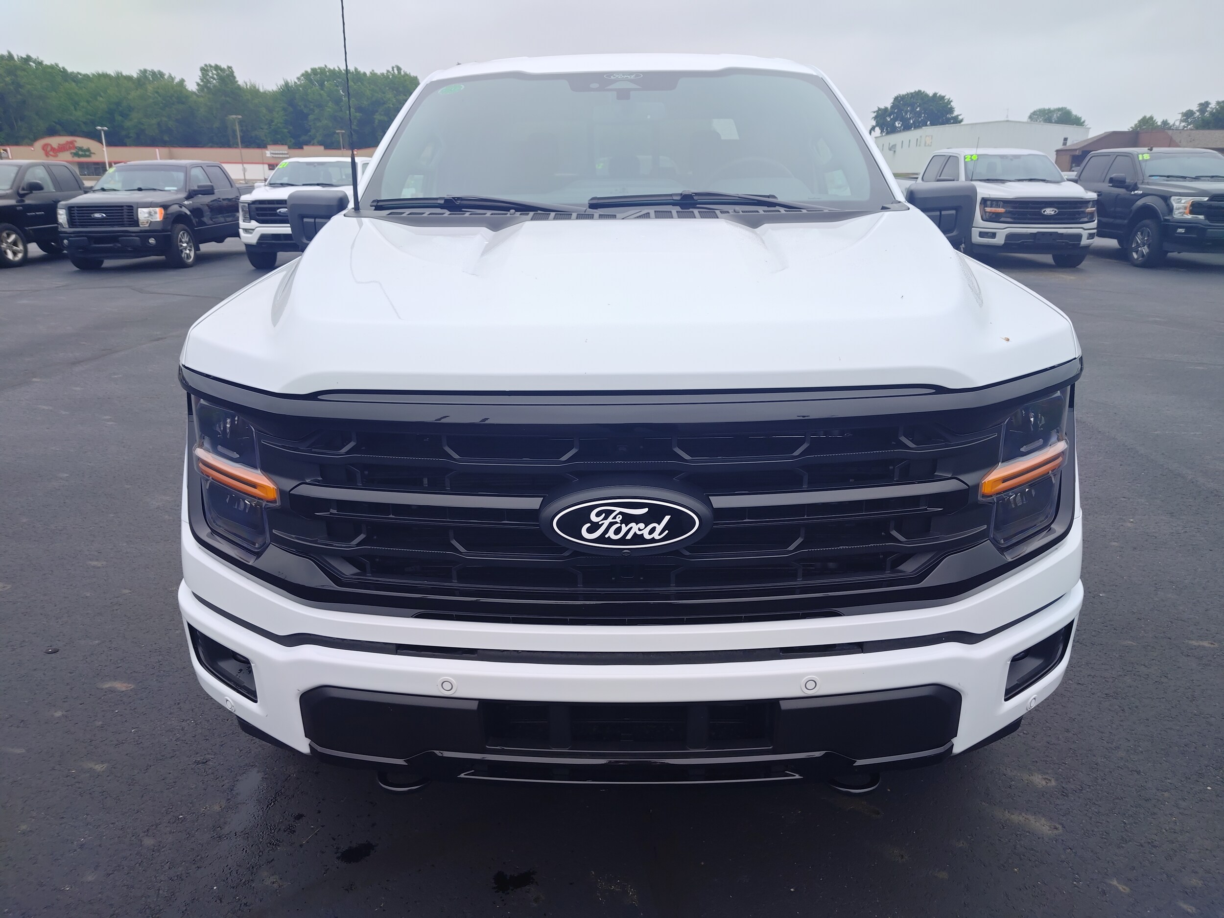 2025 Ford F-150 XLT photo 4
