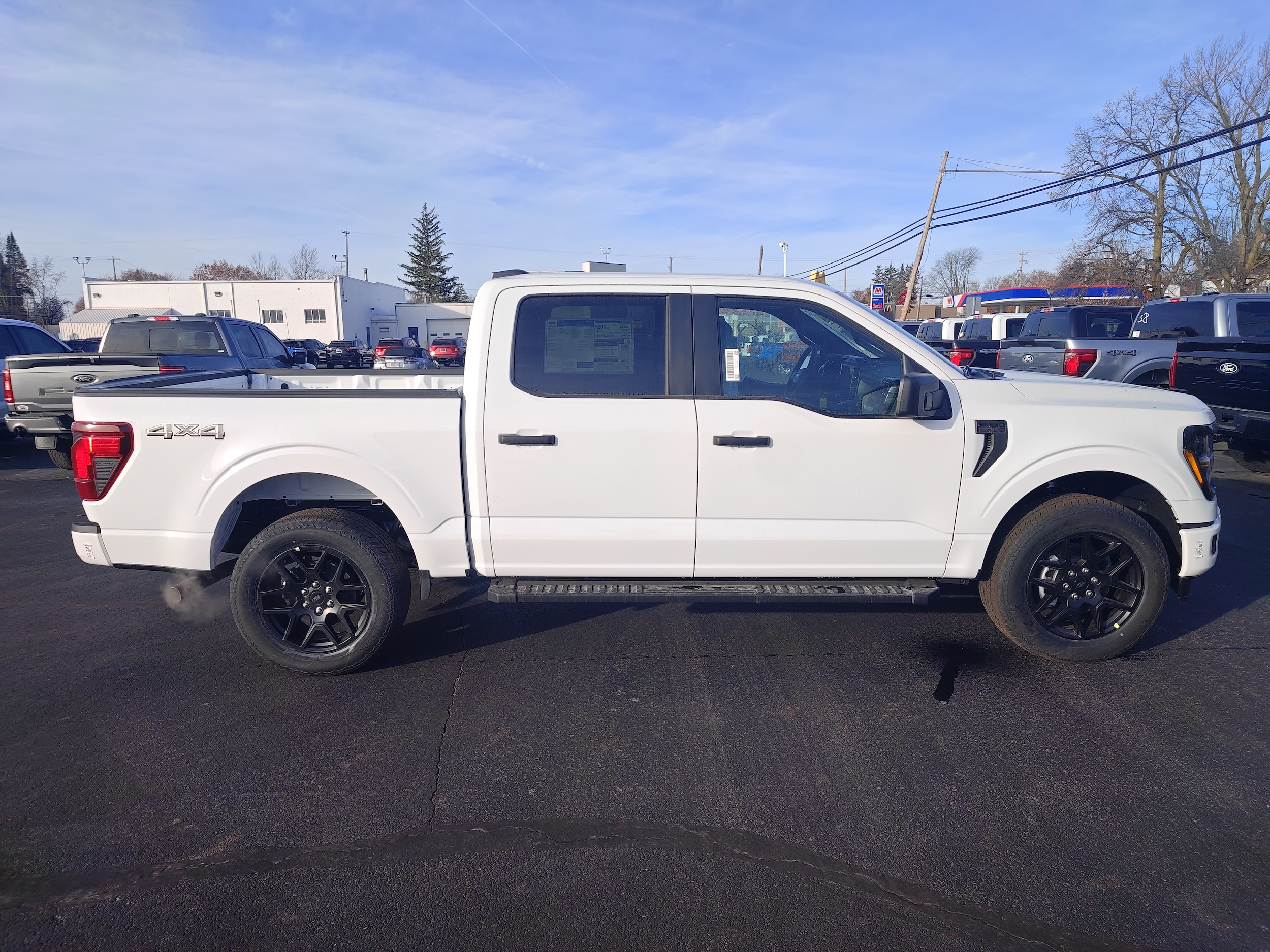 2025 Ford F-150 STX's photo