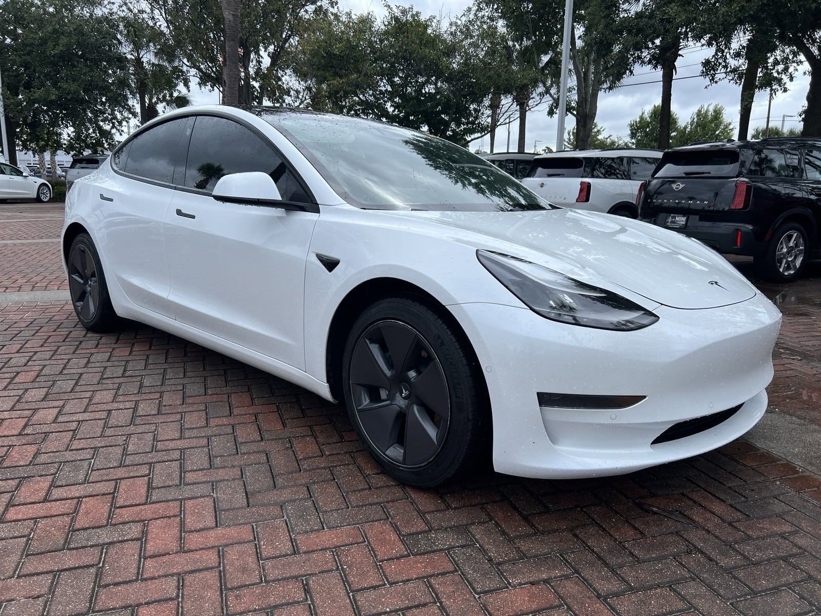 Used 2021 Tesla Model 3 Base with VIN 5YJ3E1EA1MF059894 for sale in Charleston, SC