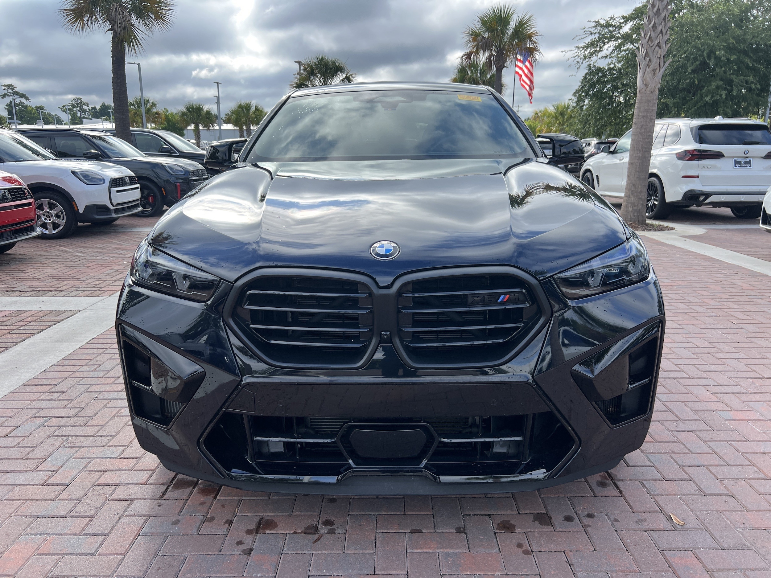BMW X6 M