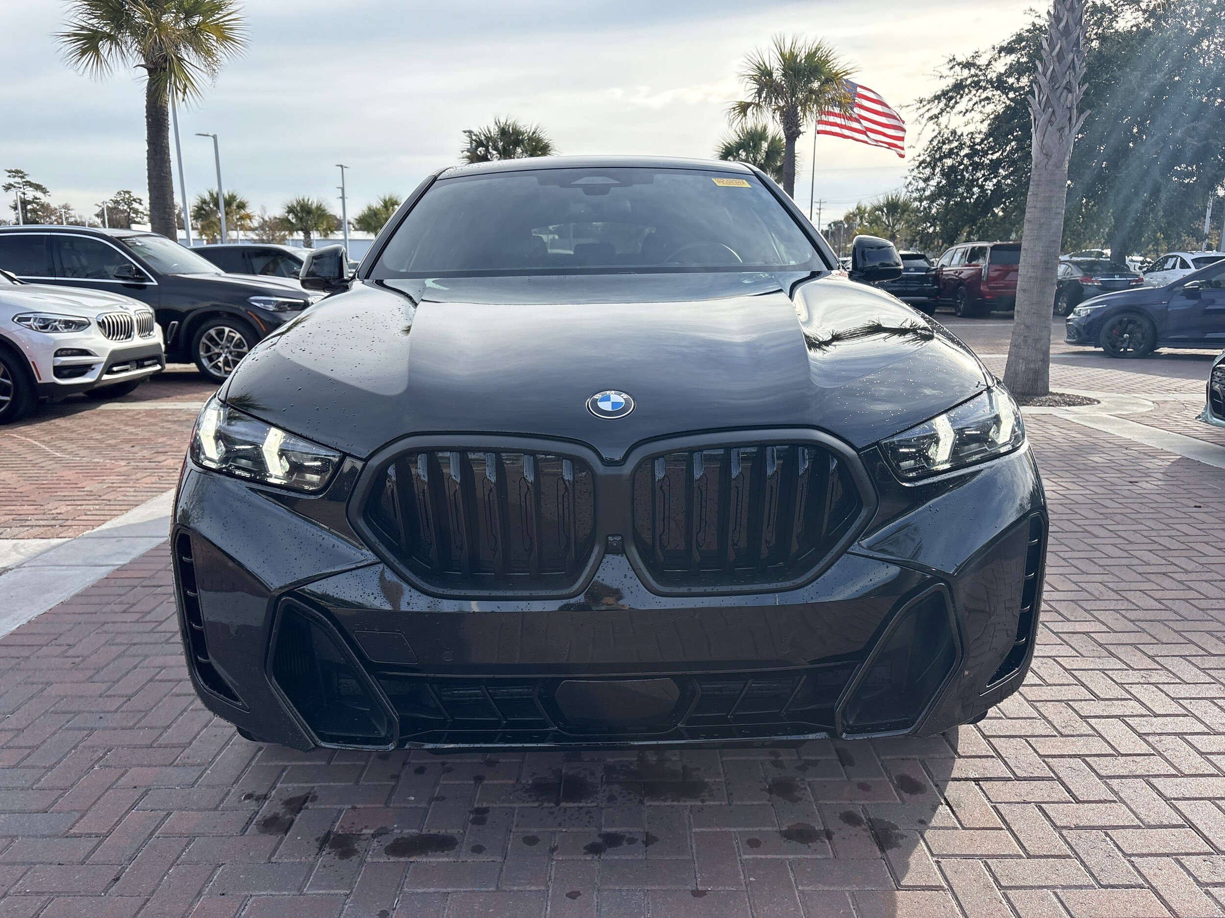 2024 Bmw X6 xDrive40i photo 3