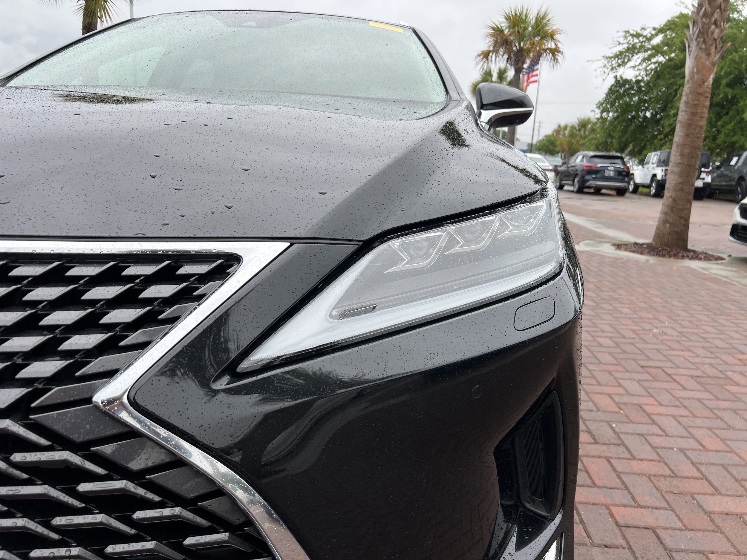 2022 LEXUS RX 350L Luxury photo 4