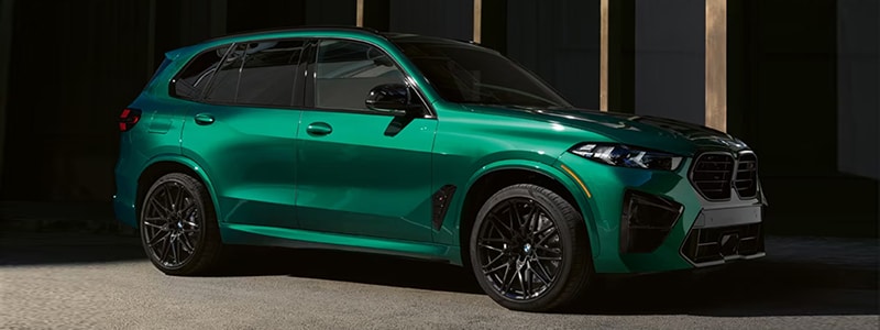 New 2025 BMW X5 Charleston SC