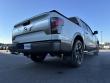 2021 Nissan Titan Platinum Reserve Pickup