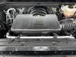 2025 Chevrolet Silverado 1500 LT Trail Boss Pickup