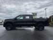 2025 Chevrolet Silverado 1500 LT Trail Boss Pickup
