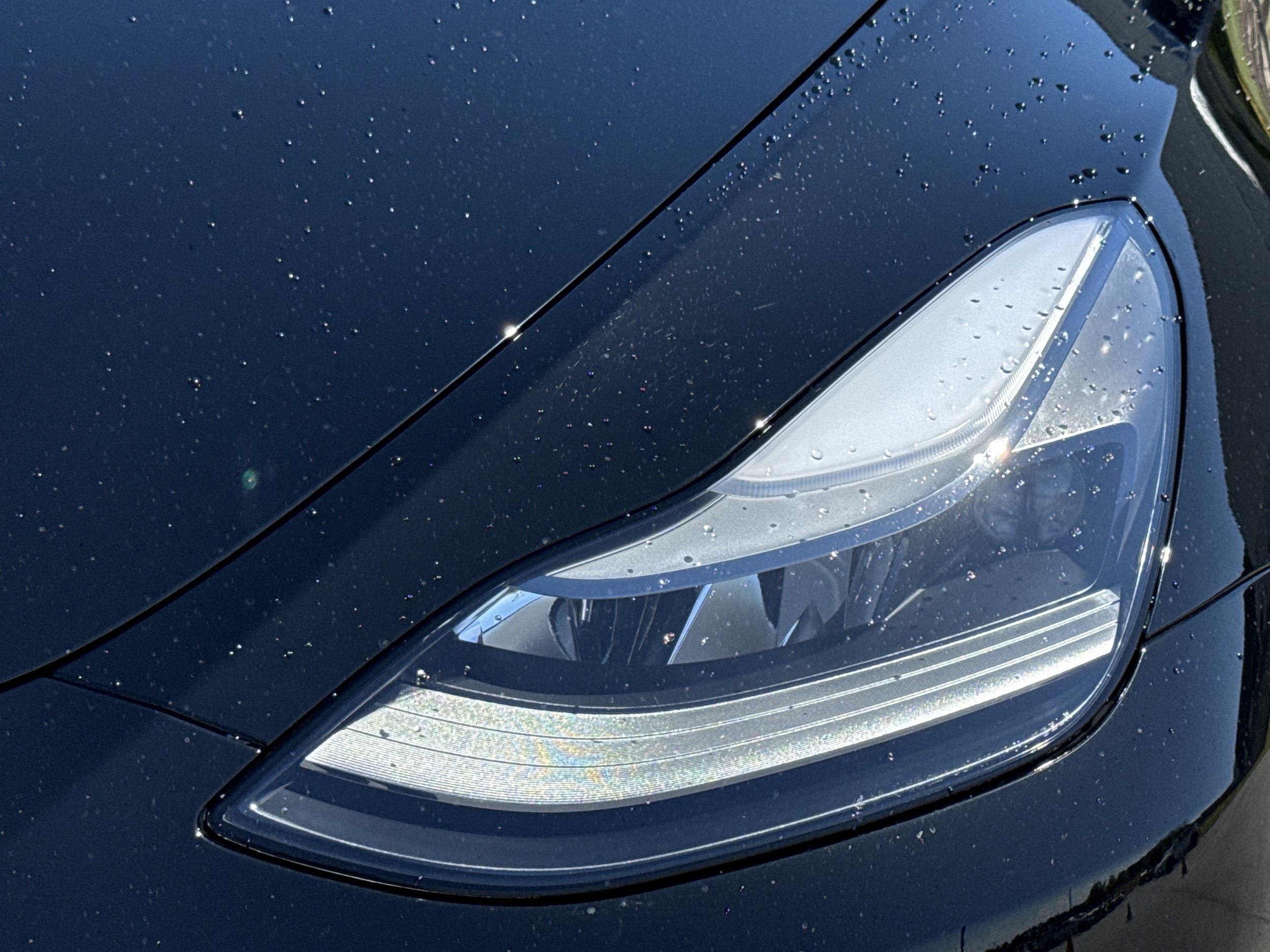 2024 Tesla Model Y Performance photo 4