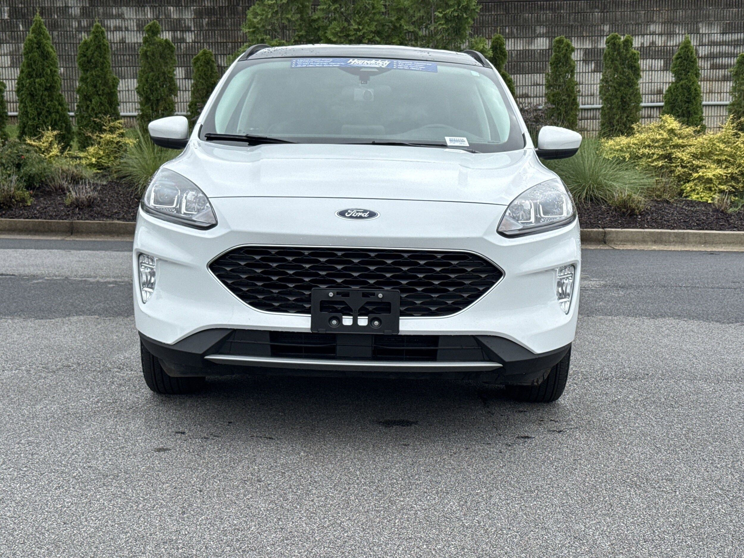 2022 Ford Escape SEL Plug-In Hybrid photo 2