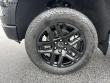 2025 Chevrolet Silverado 1500 LT Trail Boss Pickup