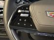 2026 CADILLAC Escalade 4WD Platinum Sport SUV