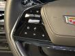 2026 CADILLAC Escalade 4WD Platinum Sport SUV