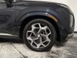 2022 Hyundai Palisade Calligraphy SUV