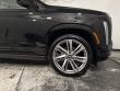 2026 CADILLAC Escalade 4WD Platinum Sport SUV