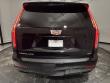 2026 CADILLAC Escalade 4WD Platinum Sport SUV