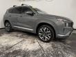 2021 Hyundai Santa Fe Calligraphy SUV