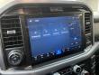 2025 Ford F-150 XLT Pickup