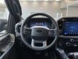 2025 Ford F-150 XLT Pickup