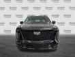 2026 CADILLAC Escalade 4WD Platinum Sport SUV