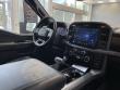 2025 Ford F-150 XLT Pickup