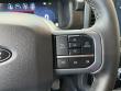 2025 Ford F-150 XLT Pickup