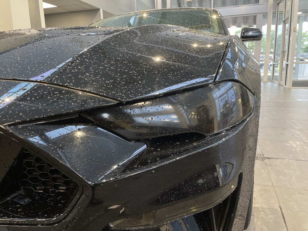 Used 2019 Ford Mustang GT Premium Coupe