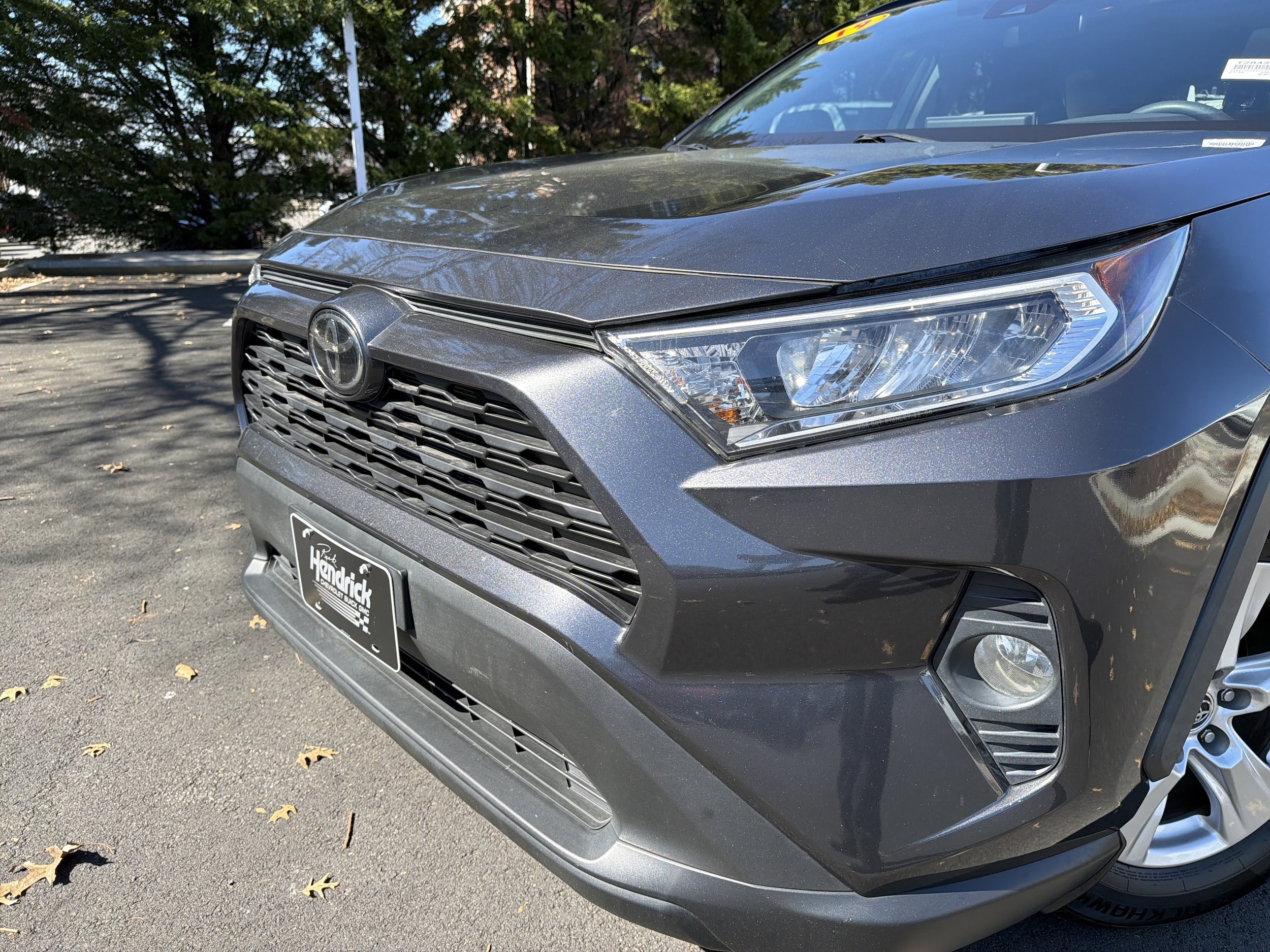 2019 Toyota RAV4 XLE photo 5