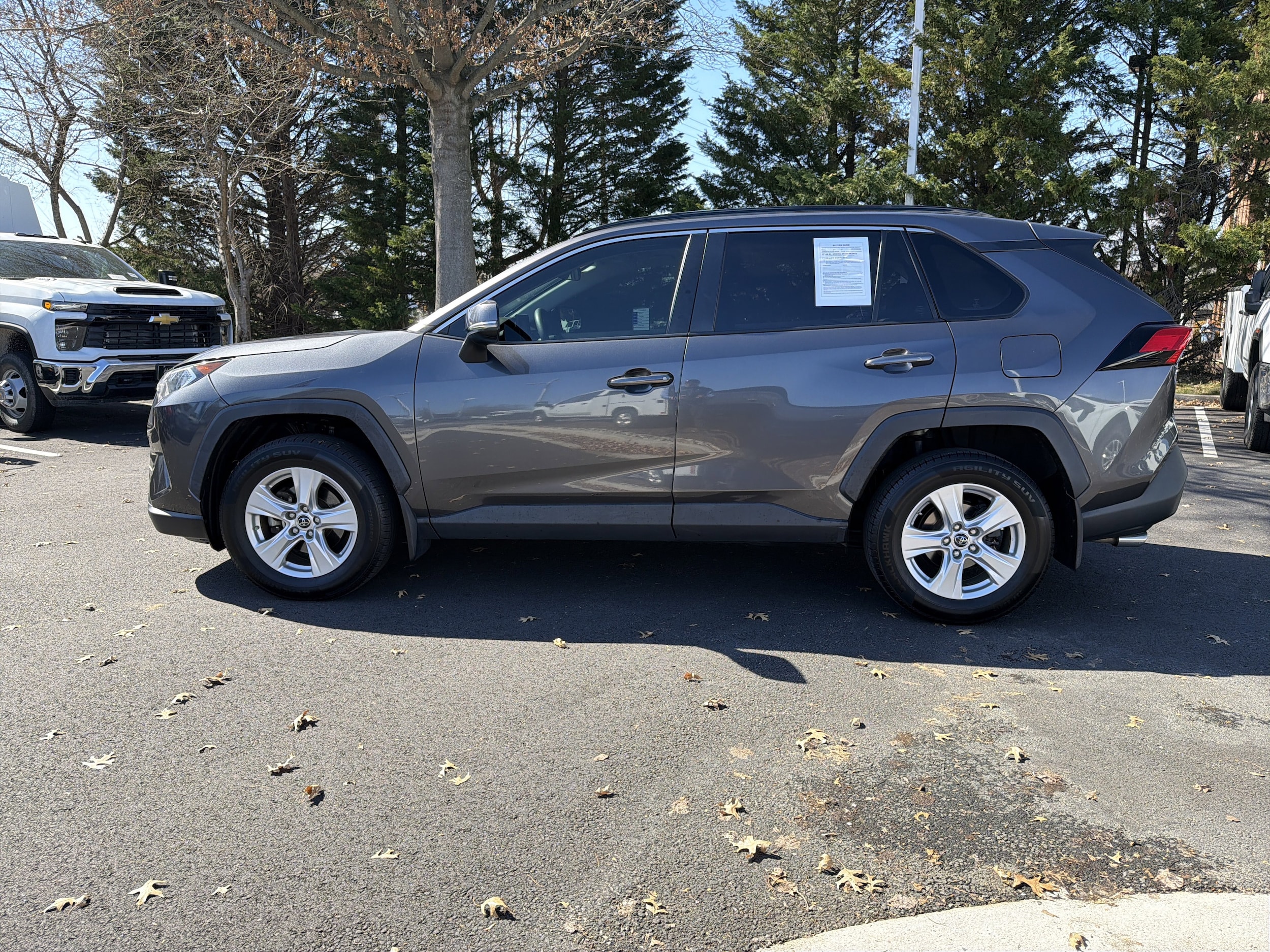2019 Toyota RAV4 XLE photo 6