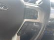2019 Ford Super Duty F-250 SRW King Ranch Pickup