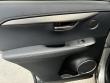 2021 LEXUS NX NX 300 F SPORT SUV