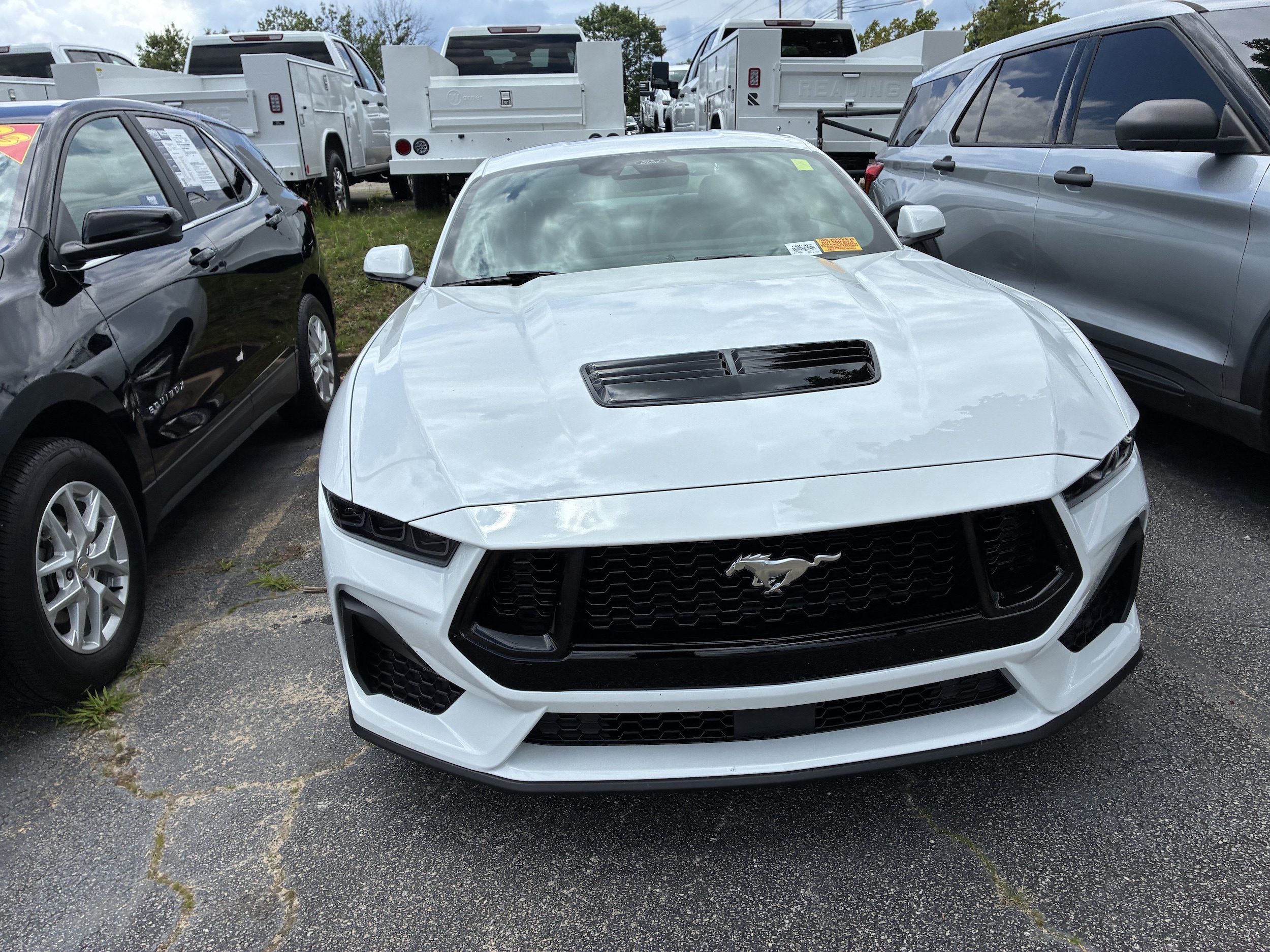 Ford Mustang GT Premium