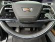 2026 CADILLAC Escalade 4WD Platinum Sport SUV
