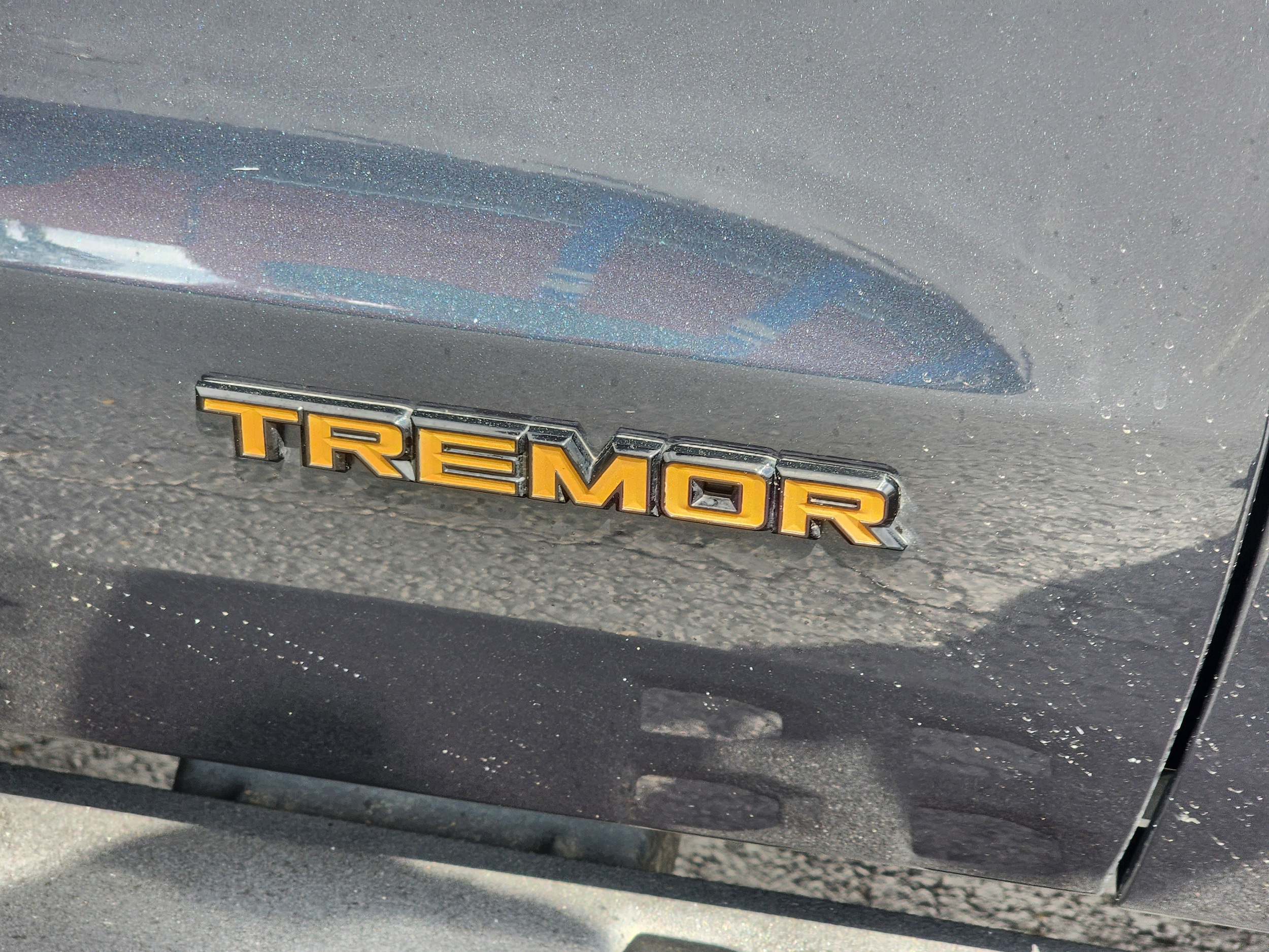 2025 Ford Expedition Tremor photo 5