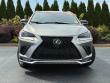 2021 LEXUS NX NX 300 F SPORT SUV