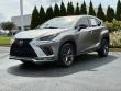 2021 LEXUS NX NX 300 F SPORT SUV