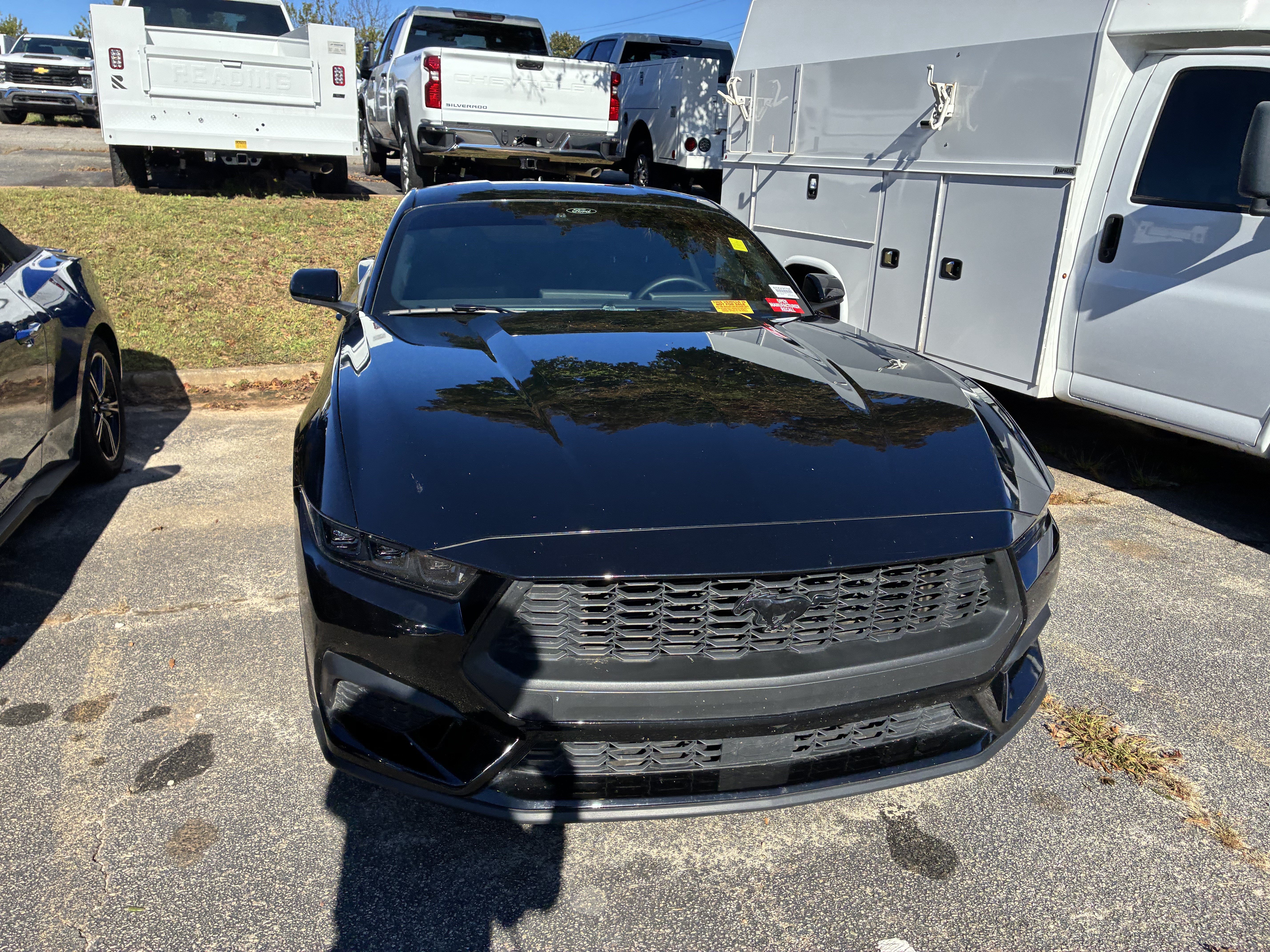 2025 Ford Mustang EcoBoost Coupe