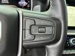 2025 GMC Sierra 1500 Denali Ultimate Pickup Truck