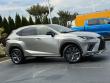 2021 LEXUS NX NX 300 F SPORT SUV